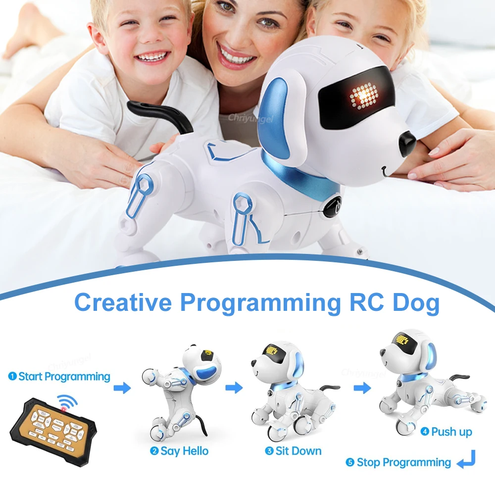 RC Robot Dog 4