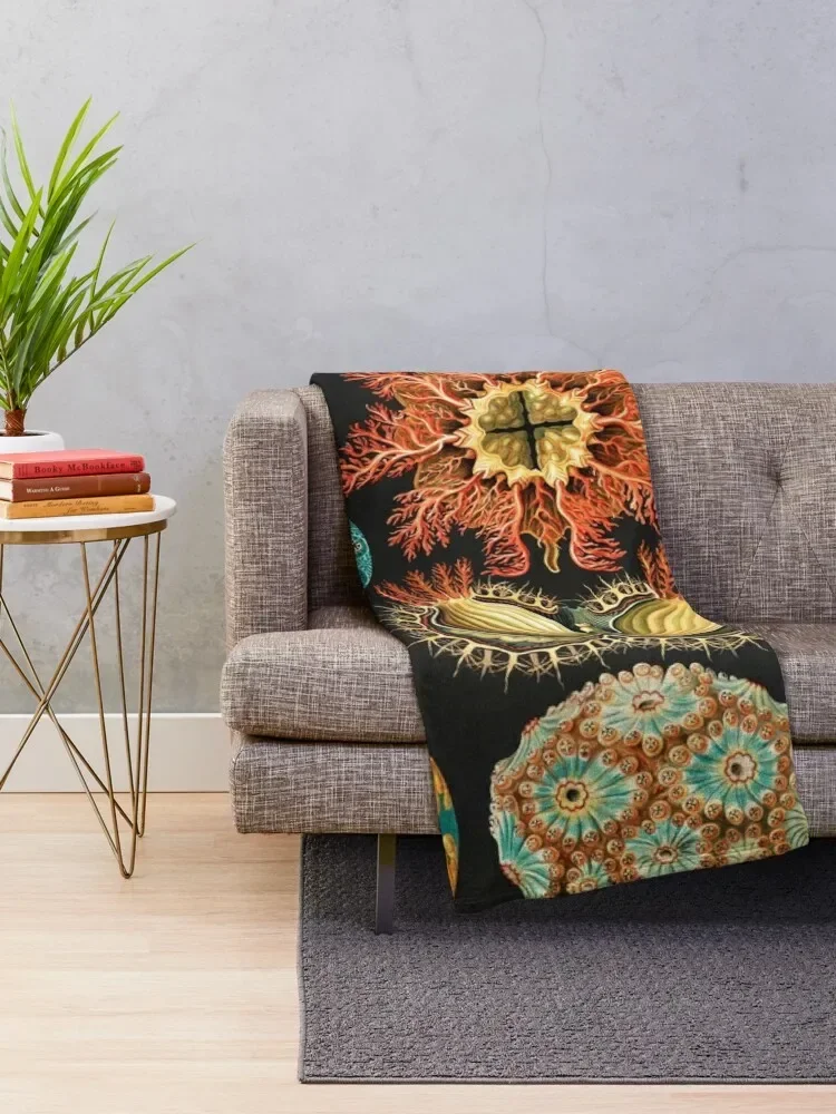 Ernst Haeckel ������ ���, �ҷ��� ����, �����̴� �̺� ���, �ڿ��� ����