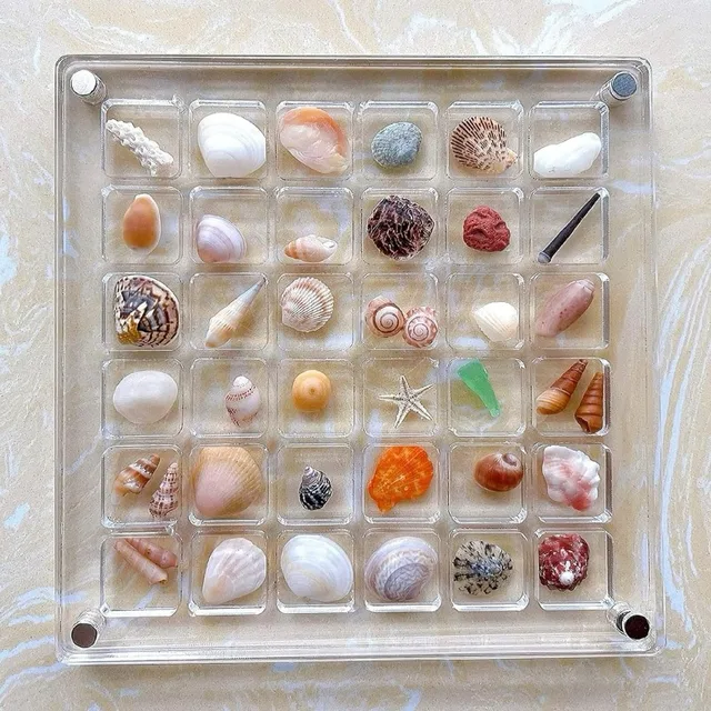 Grids Seashell Display Box Acrylic Magnetic Seashell Display Case Organizer Box Stackable Small Craft Compartment Boxd Bins 4
