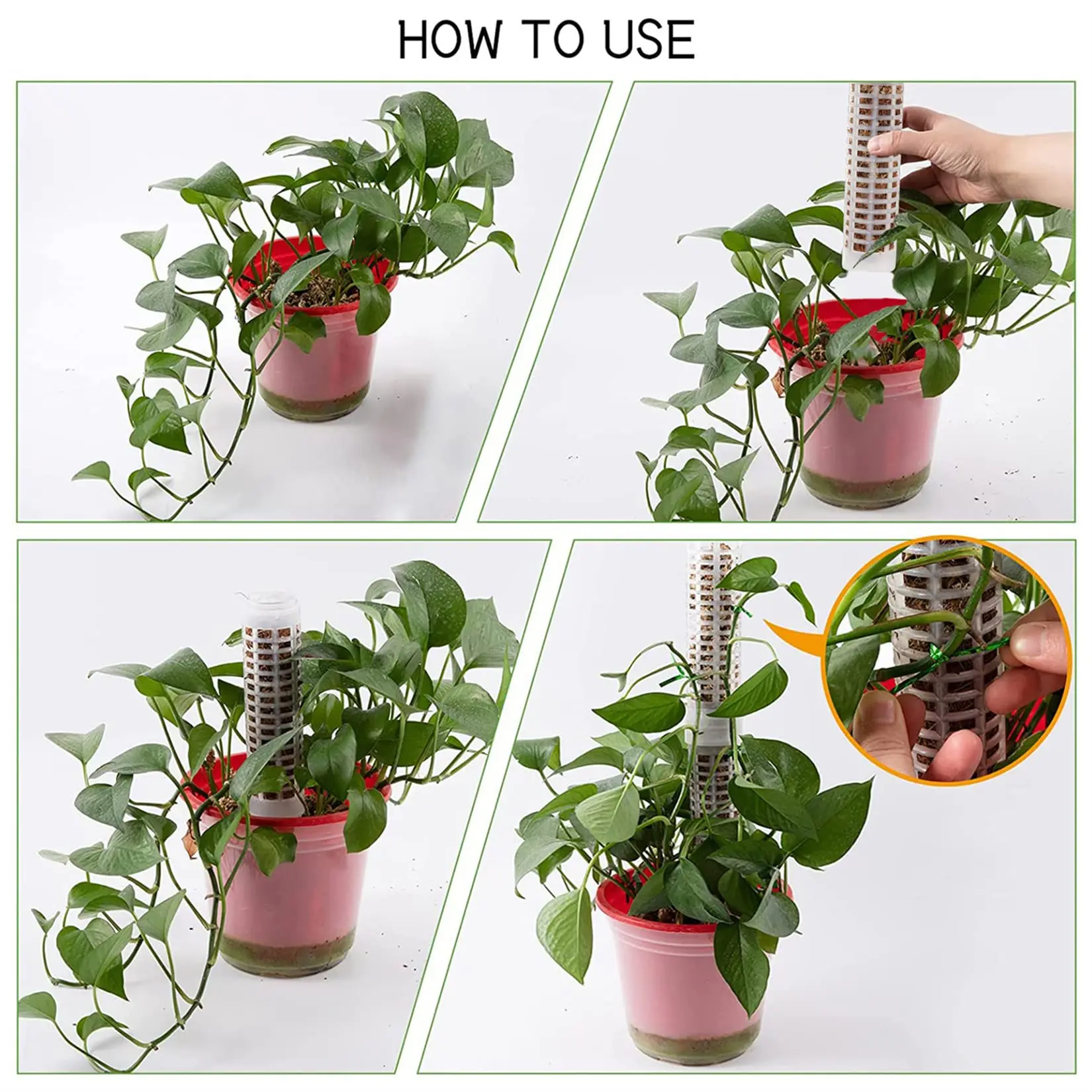 Plastic Plant Climbing Column Plant Pole Sphagnum Support Trelli Frame Water Moss Column Pole Potted Flower Vines Climbing plant climbing support