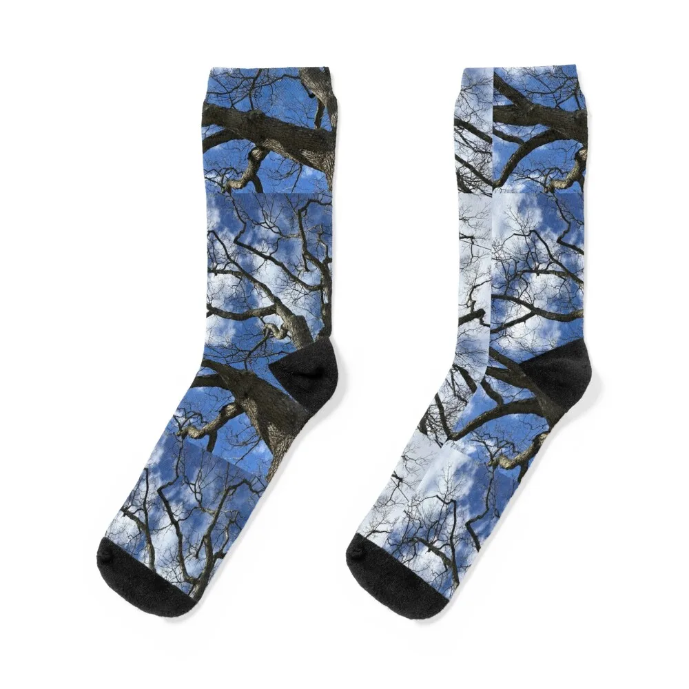 

Branches Socks Thermal man winter anti slip football bright garter Socks Men's Women's