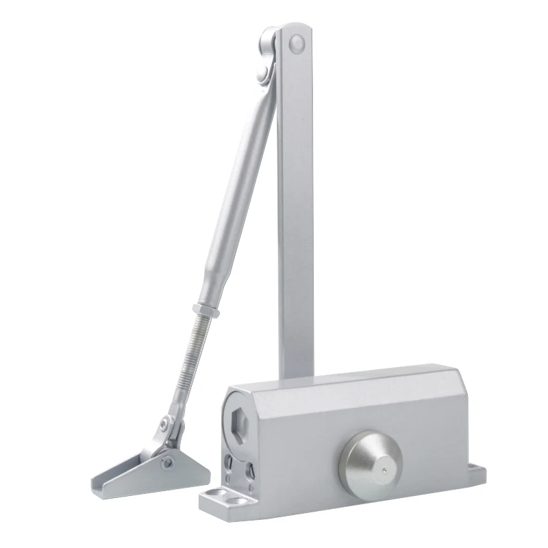 

Aluminium Alloy Type Built In Anti External Force Device Protects Doors And Door Frames Of Door Closer