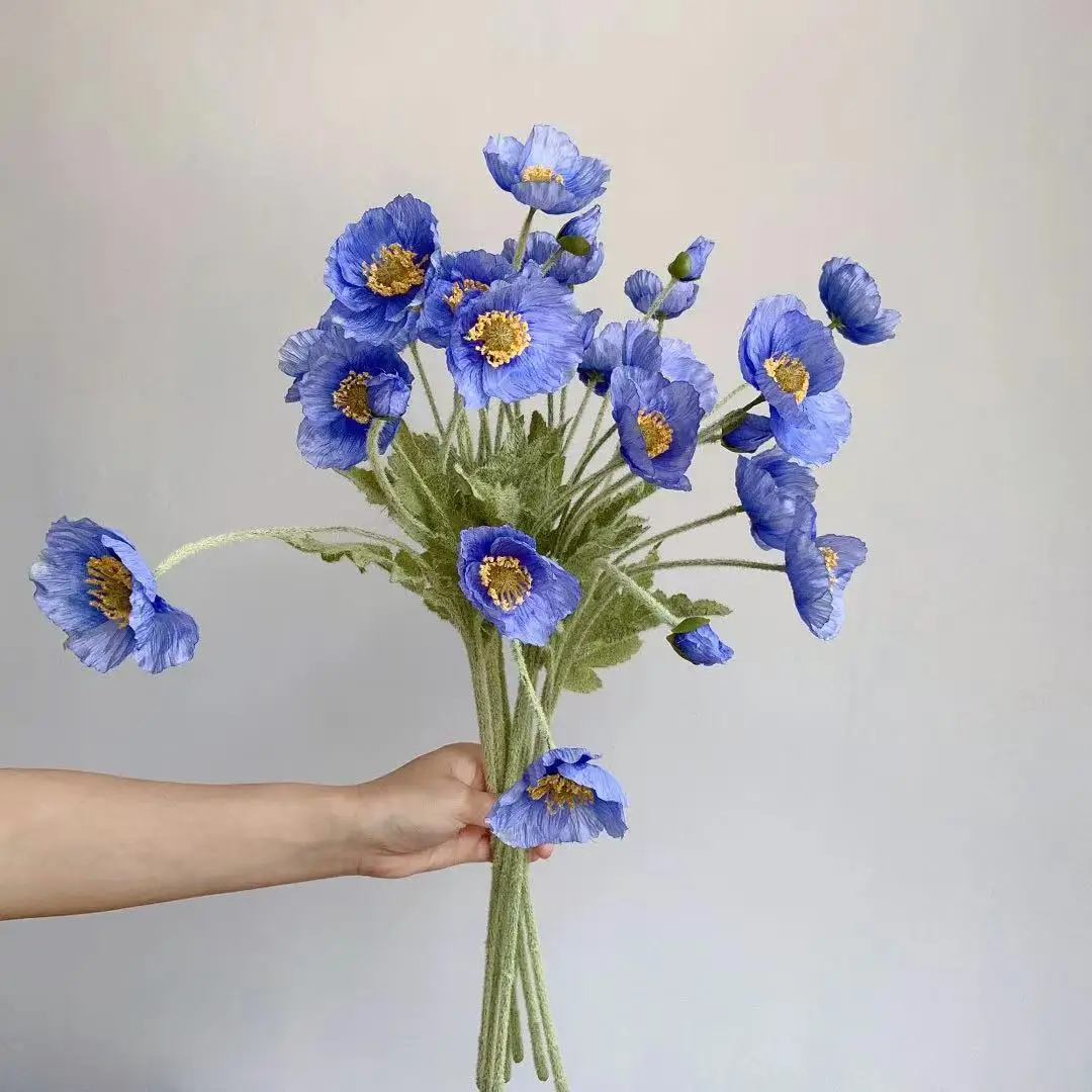    ,   ¥ , Ƽ ǰ,   , DIY ׼