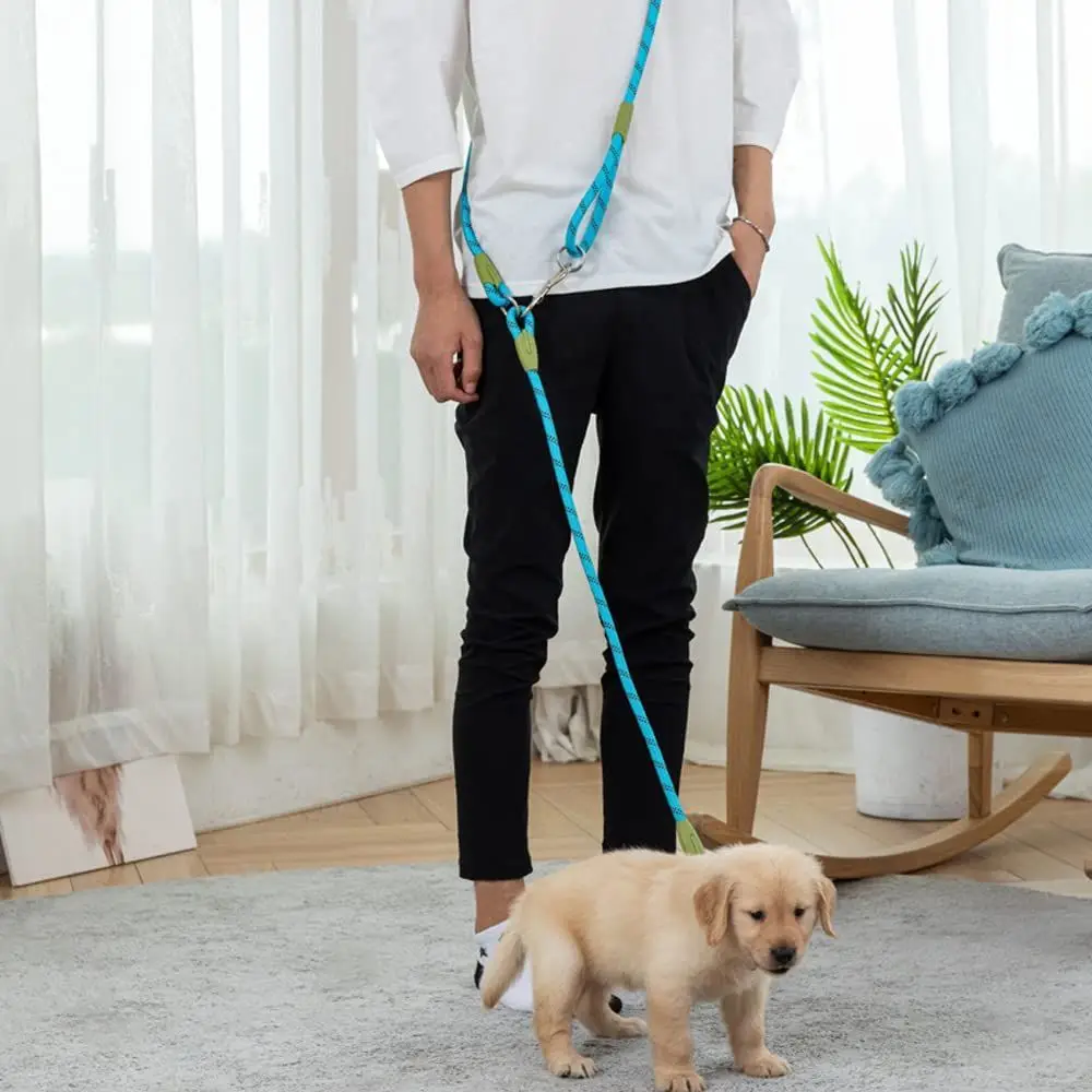Two-in-One Elastic Dog Leash 2