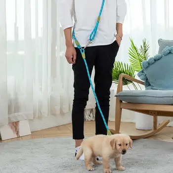 Two-in-One Elastic Dog Leash 2