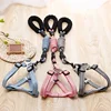 Dog Harness 1.2M Leash Set for Small Dogs Adjustable Puppy Cat Harness Vest Poodle Chihuahua Pug Outdoor Walking Pet Leash 6