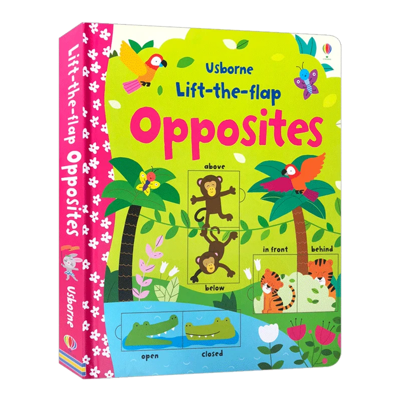 

Книжка с откидной крышкой от Usborne, детские книги для возраста 3, 4, 5, 6 лет, книга с картинками на английском языке, 9781409582588