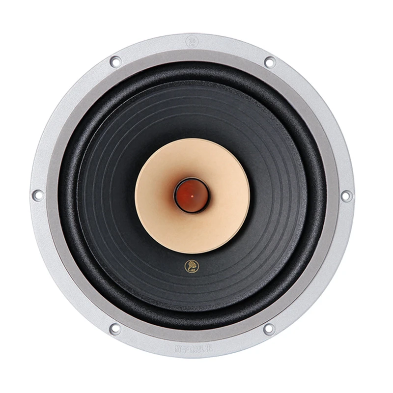 LII AUDIO HIFI FAST-10 Full Frequency Speaker 10 Inch 8ohm/40-60W Unit / 1PCS 1 LII AUDIO HIFI FAST-10 Full Frequency Speaker 10 Inch 8ohm/40-60W Unit / 1PCS 1