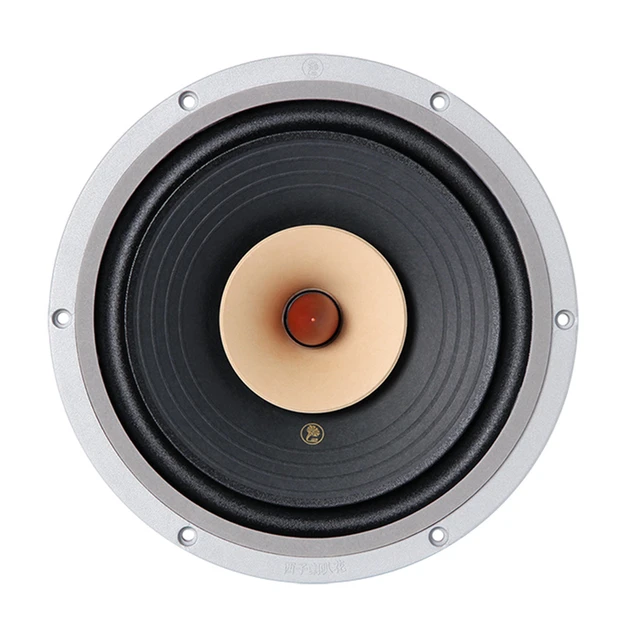 LII AUDIO HIFI FAST-10 Full Frequency Speaker 10 Inch 8ohm/40-60W Unit / 1PCS 1