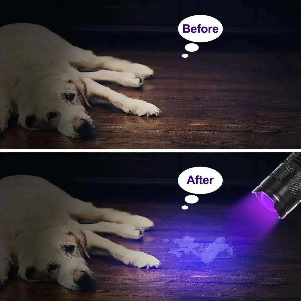 Ultra Violet LED Flashlight Blacklight 395/365 nM Inspection Lamp Torch Light UV Lamp Zoomable 3 Modes Ultraviolet uv flashlight,portable flashlight,black light bulbs