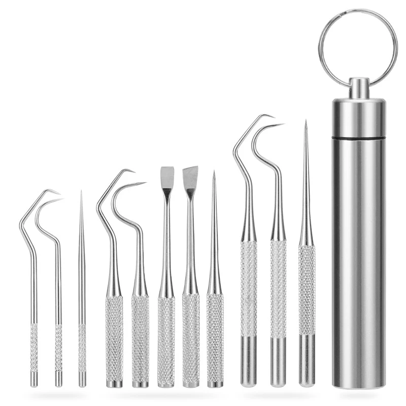 1/3pcs Stainless Steel Toothpick Set Portable Oral Cleaning Tools Tooth