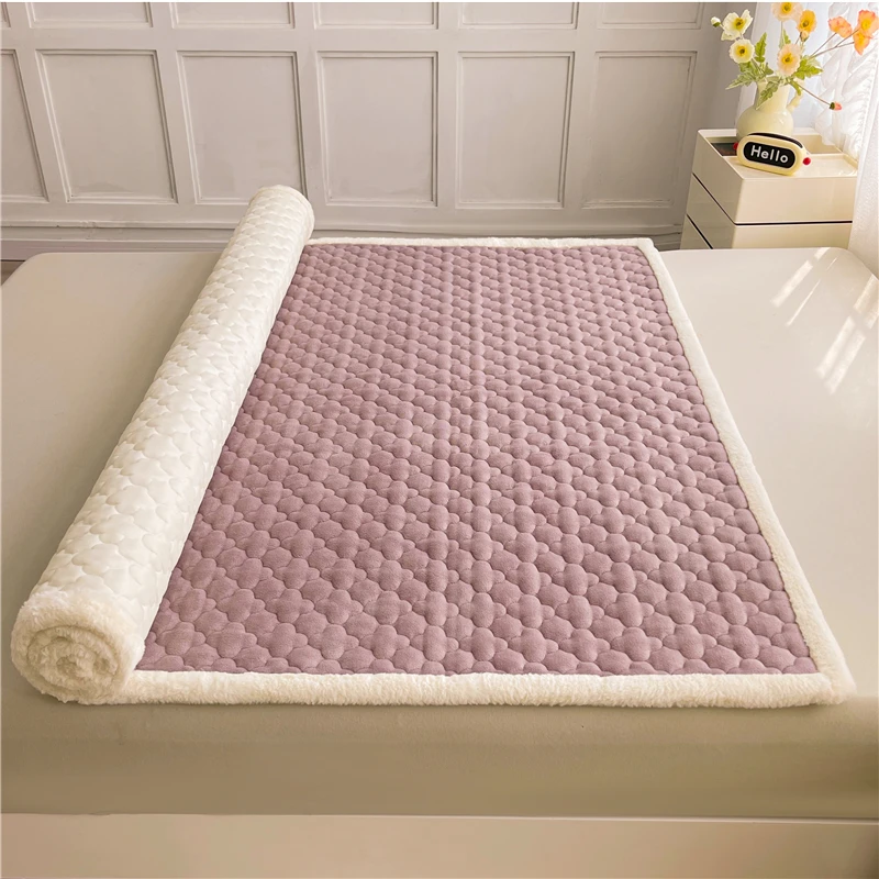 AISIRUI Winter Warm Topper Bed Mattress Single Double Mattress King Size Beds and Furniture Tatami for Sleep Bedroom Furniture 5