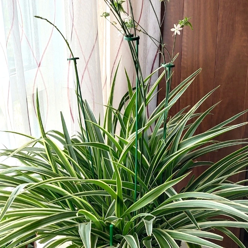 5/10/20PCS Plant Supports Stand Butterflies Orchid Flower Potted Fixing Rods Reusable Flower Holder Pole Leaf Protection Frame plant stakes,plastic plant supports,plant stem support,plant support racks,plant support stick