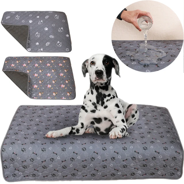 Reusable Dog Pee Pad Blanket Absorbent Diaper Washable Puppy Training Pad Pet Bed Urine Mat for Pet Car Seat Cover Pet Bed New Reusable Dog Pee Pad Blanket Absorbent Diaper Washable Puppy Training Pad Pet Bed Urine Mat for Pet Car Seat Cover Pet Bed New