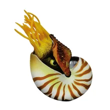 

Simulation Nautilus Decorative Aquarium Sea Shells Landscaping Shells Crafts Fish Tank Decor Aquarium Ornament