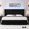 King Upholstered LED Bed Frame with 2 Storage Drawers, Velvet Platform Bed with Wingback Headboard, Solid Wooden Slats Support 6