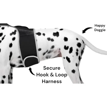 Smart Activity Tracker Real-Time Android GPS Pet Tracker Motion Detect for Easy Pet Tracking Size:XS 4