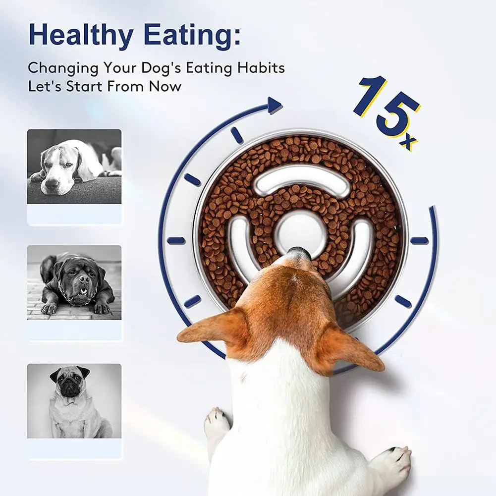 �ݷ����� ���ο� �Ǵ� ������ �׸�, �̲��� ���� �����θ��� ��ƿ ���� �� �׸�, ���� ���� �����߿� IQ �Ʒ� �峭��