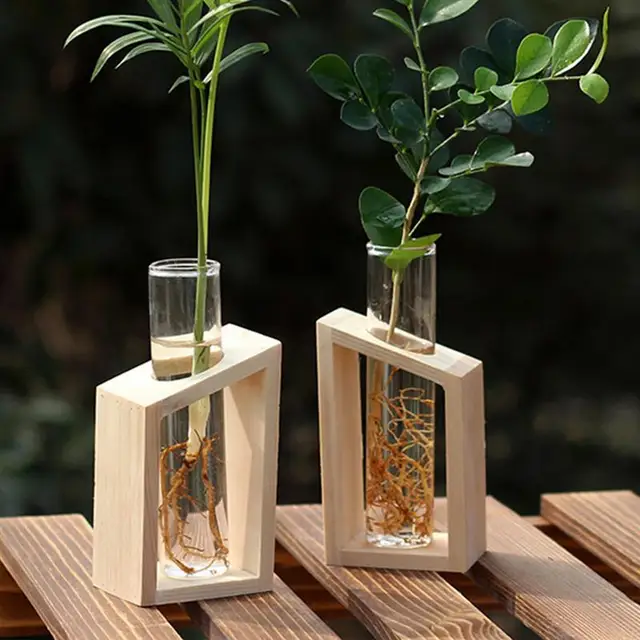 4Pcs Hydroponic Plant Terrarium Vase Decoration Home Glass Bottle Hydroponic Desktop Decoration Office Green Plant Small Potted