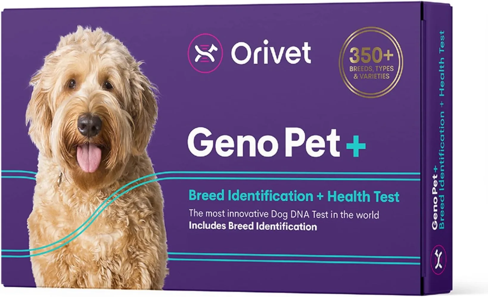 Dog DNA Test Comprehensive Dog Breed Test Kit Genetic Testing and Life Plan GenoPet+ for Canines Pet Strips