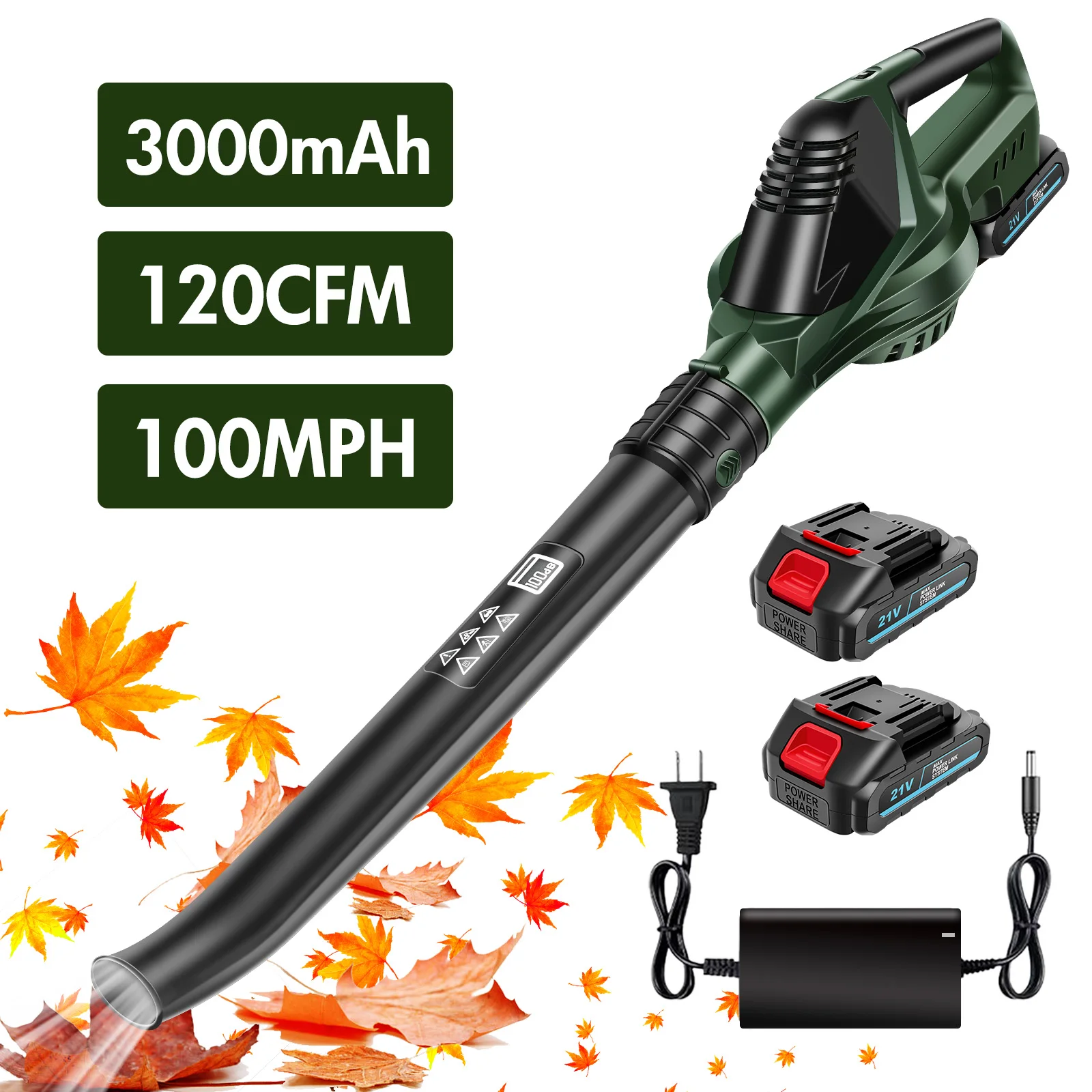 dsc-products