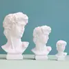 David Creative Portrait Vase Human Head Flower Vases Decorative Ornaments Resin David Home Flowers Art Decor 4