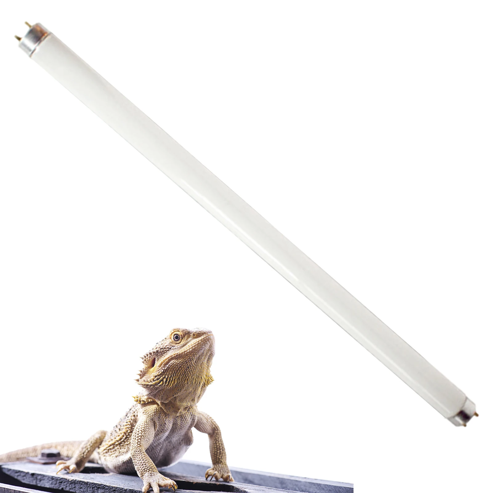 Uvb Terrarium Lighting Terrarium Bulb Light Terrarium Heat Lamp