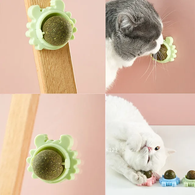 Catnip Wall Ball Licking Snacks Healthy Nutrition Ball Teeth Cleaning Catnip Toy for Cats Clean Mouth Promote Digestion Indoor 4