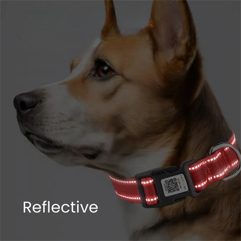 Personalized Glowing Collar Neck QR Scan Identification Addressee