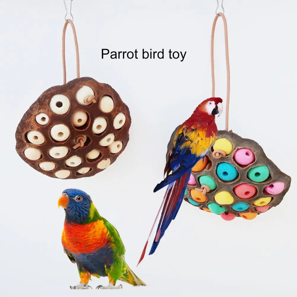 

Bird Toy Natural Dried Lotus Shape Parrot Chew Toy with Hanging Rope Easy to Install Bird Teething Toy Cage Acccessories