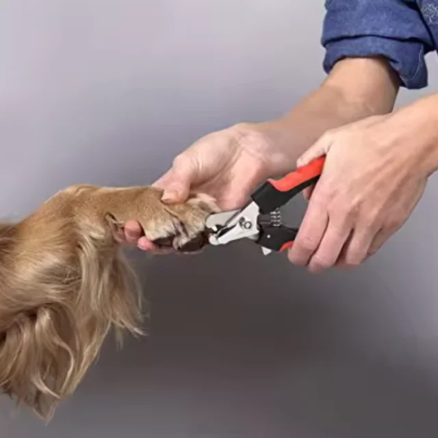Professional Pet Nail Clippers for Dogs Cats with Safety Guard Stainless Steel Scissors Nail Pliers for Pet Claw Care Grooming 4