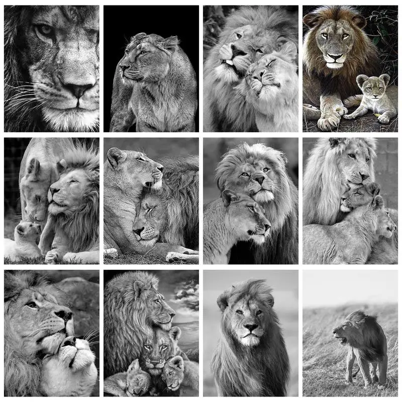 GATYZTORYOilPaintByNumbersBlackAndWhiteLionsAdultsCrafts