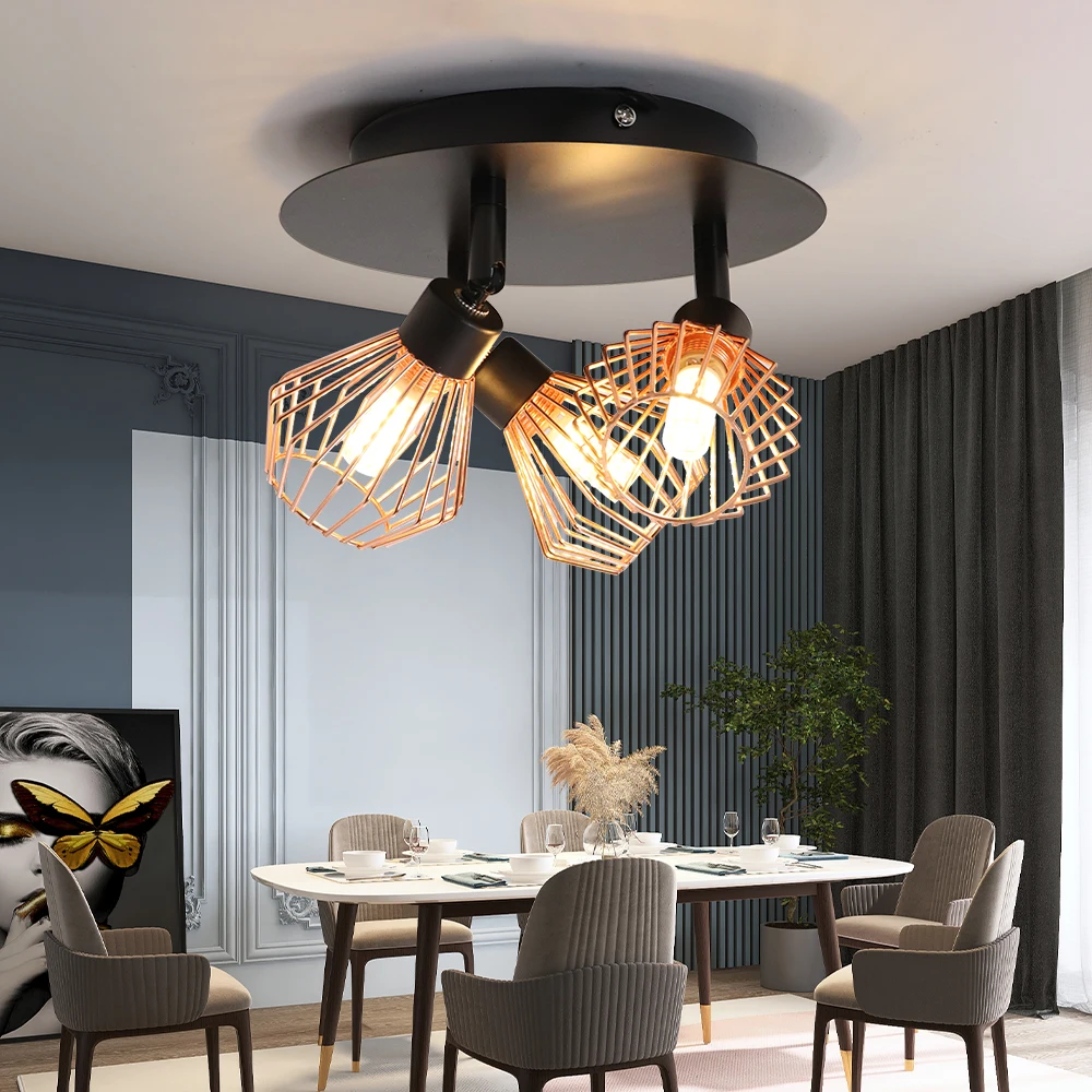 2 spotlight ceiling light deals