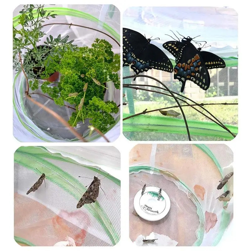 RESTCLOUD Pop-Up Butterfly Habitat Cage - 23.6 Inches Tall, For Raising Caterpillars - View #11