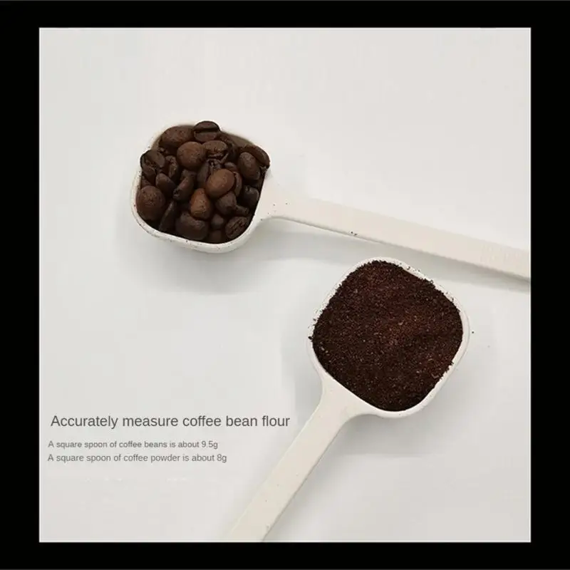 Dzxin Cucchiaio da caffè 2 #, 304 2 in 1 in acciaio inox supporto per polvere di caffè misurino strumenti