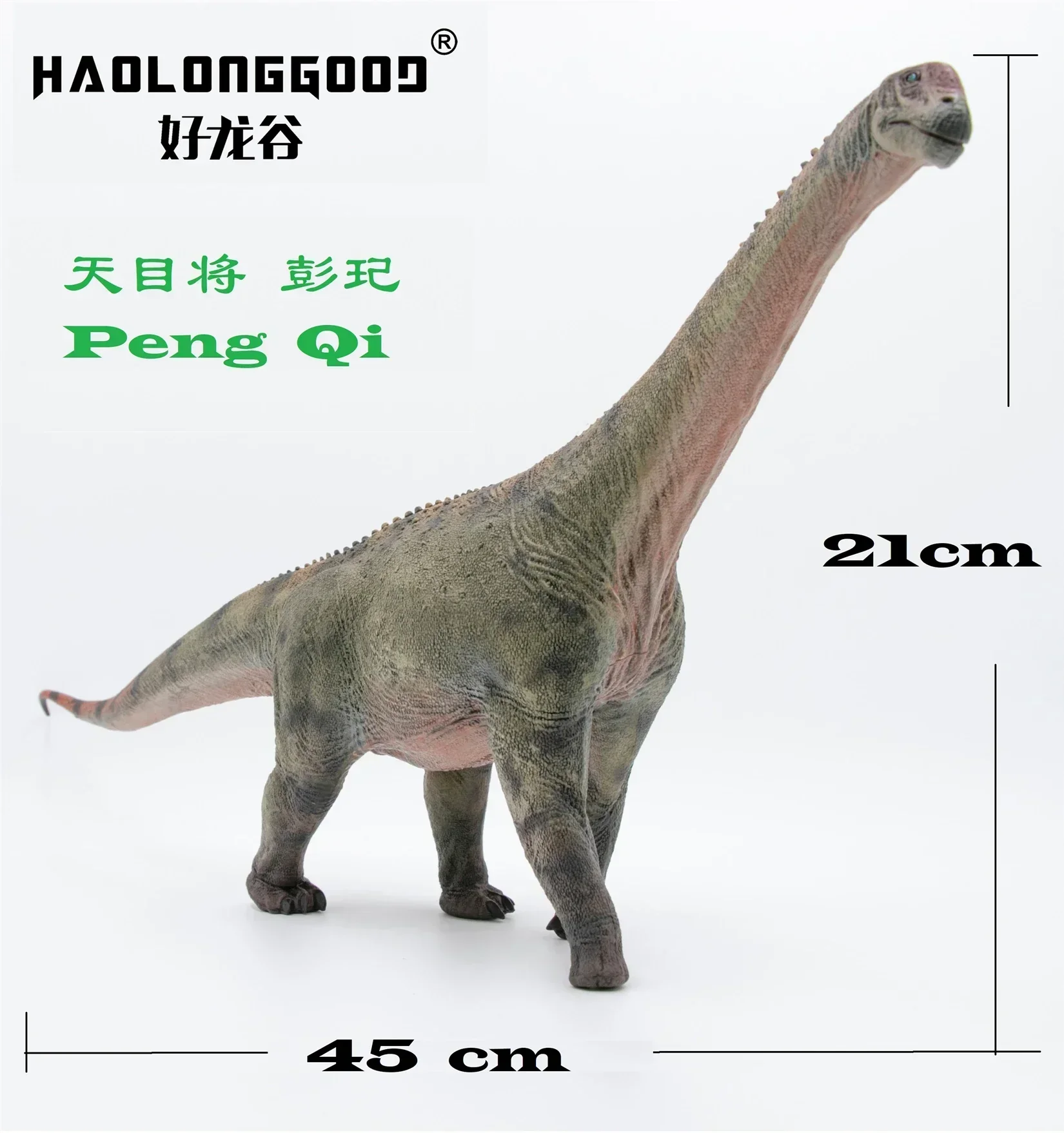 Haolonggood-恐竜のカマラサウルスモデル,動物コレクション,gkシーン