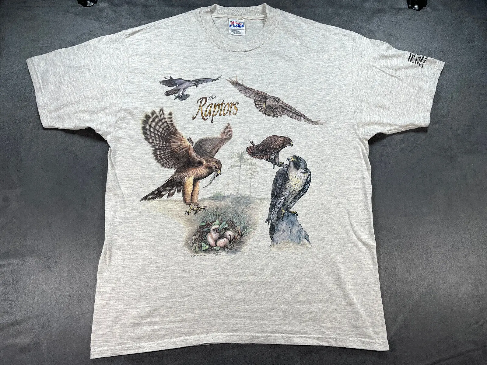 Vtg Grey Shirt Raptors Birds Of Prey Texas State Aquarium Talons Hawks Xl Egg 94