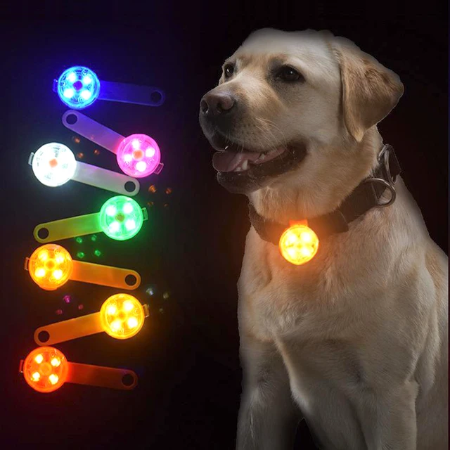 Dog Anti Loss Collars LED Waterproof Safety Flashing Light USB Rechargeable Night Glowing Pendant For Dogs Cats Pets for Outdoor Dog Anti Loss Collars LED Waterproof Safety Flashing Light USB Rechargeable Night Glowing Pendant For Dogs Cats Pets for Outdoor