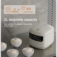 Multicuiseur 2L cuiseur à riz électrique 110V/220V antiadhésif soupe ragoût Pot 1-3 personnes Mini Machine de cuisson repas vapeur chauffe-plats 4