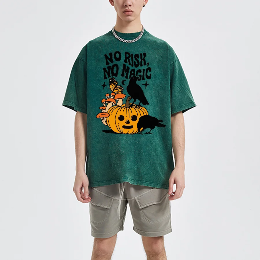 

No Risk Graphic Printed Washed T Shirt For Men, Y2K Streetwear Harajuku Short Sleeve Sweatshirt, Unisex Casual Loose T-Shirts.