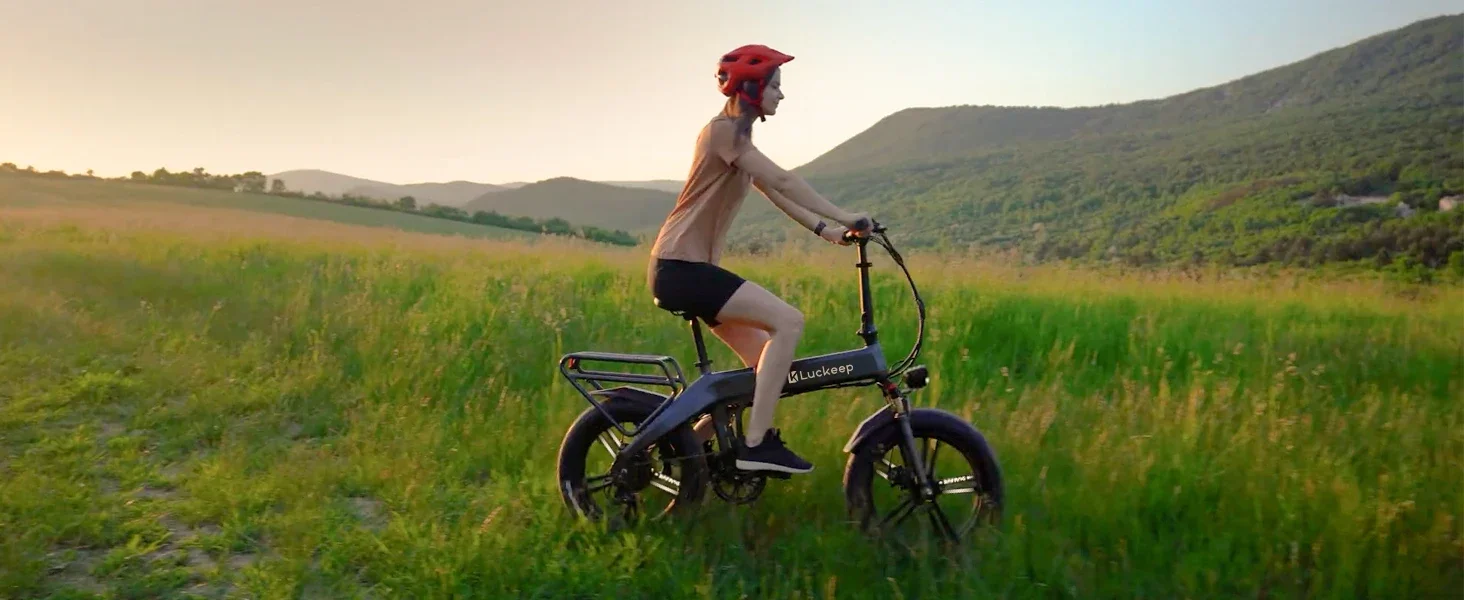 folding electric bike for adults