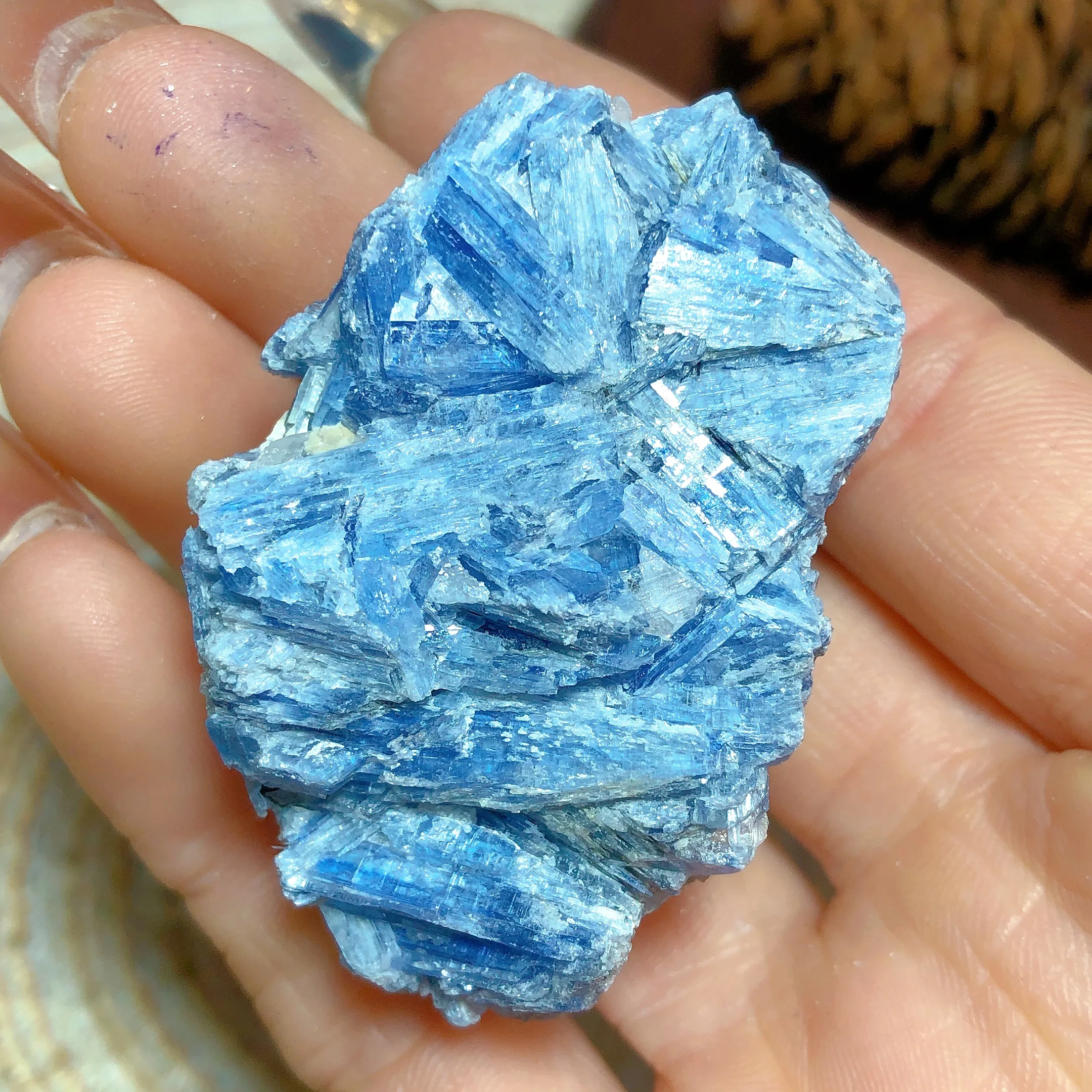 Kyanite Diamond Shell Pendant main image 0