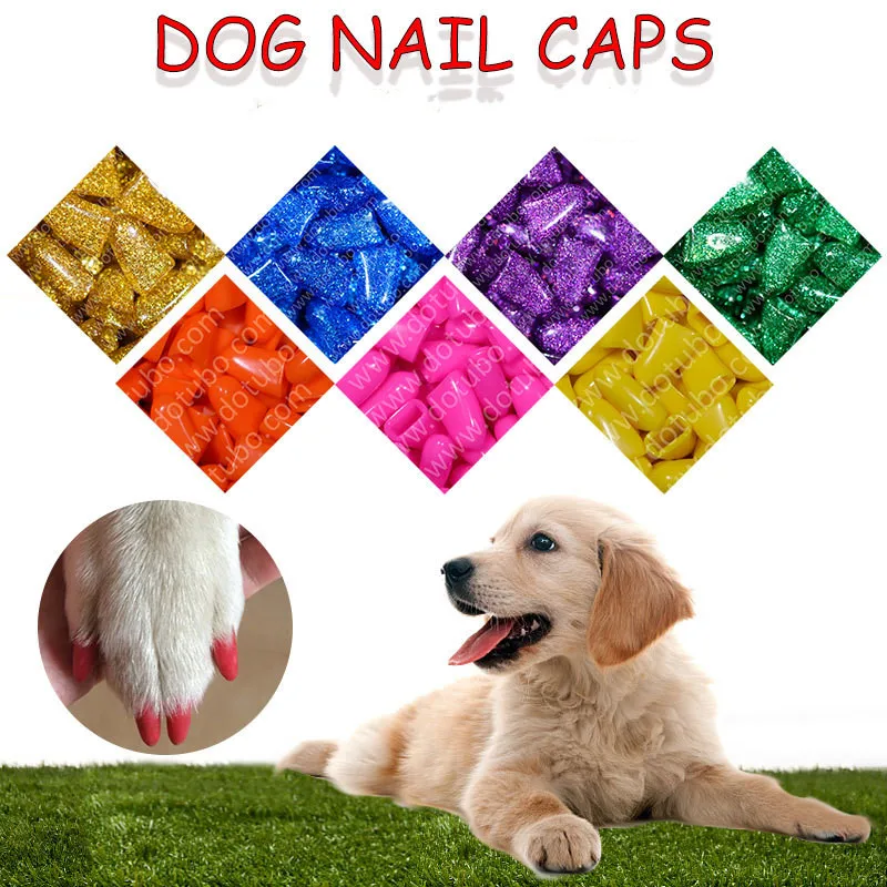 Discover 143+ dog nail caps ceg.edu.vn