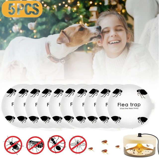 5Db Eldobható Bolhacsorda-Matricák Újratölti A Csere Párnák Nem Mérgező Ragasztó Tárcsát Hibákhoz Legyek Bolhák Szúnyogok Védik Kedvtelésből Tartott Kutyákat