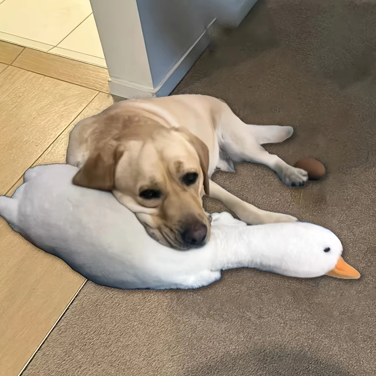 Jouet Canard En Peluche Pour Chien – Taille 50 Cm Ou 90 Cm – Doudou à Mâcher Apaisant, Idéal Pour Câlins Et Jeux - 7