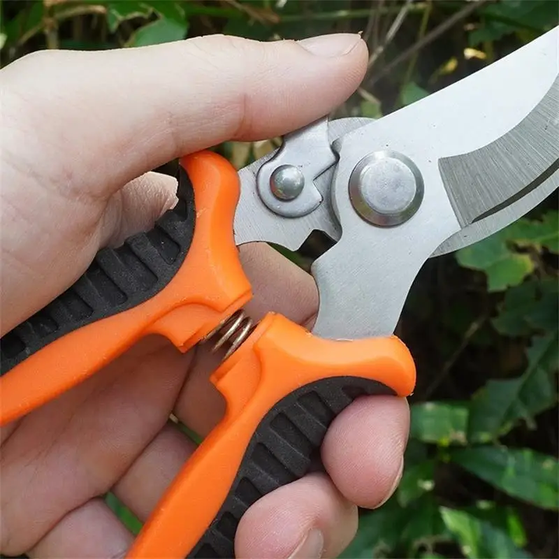 https://ae01.alicdn.com/kf/Scb214458a2ae47ffaa6337e76d2cb42bK/Pruner-Garden-Scissors-Professional-Sharp-Bypass-Pruning-Shears-Tree-Trimmers-Secateurs-Hand-Clippers-For-Garden-Beak.jpg
