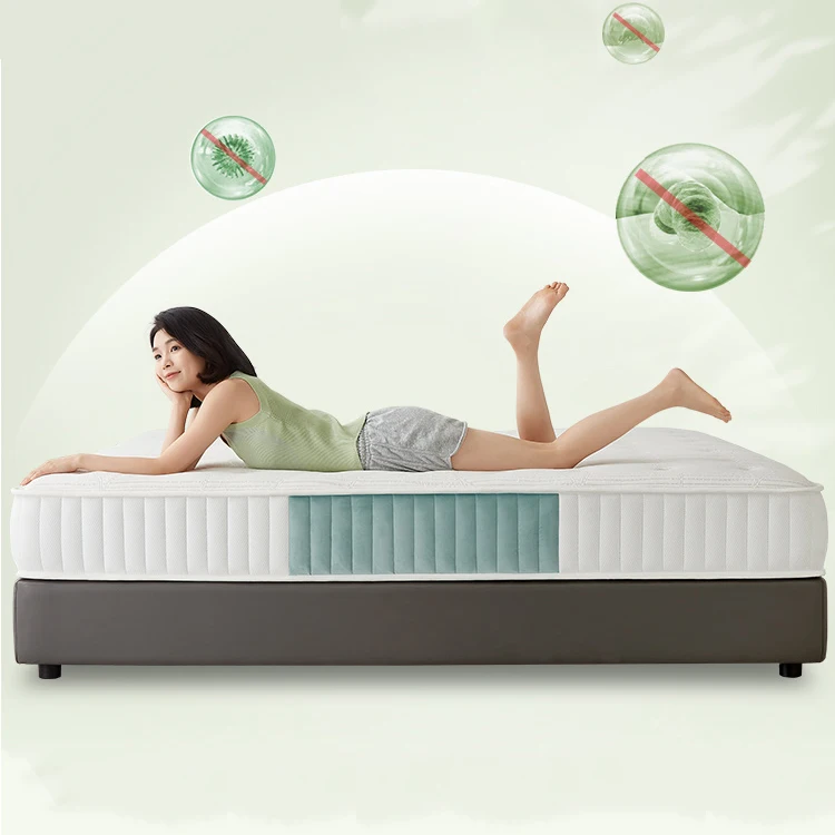 Modern minimalism style design household mattress spring coir fiber mattress topper