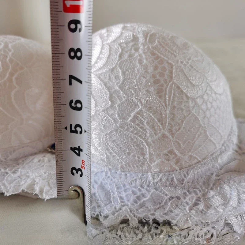 9cm Steel Ring Push Up Bra Lace Sexy Underwear for Women Thickened Adjustable Padded Lingerie with Upper Support Gathering 2