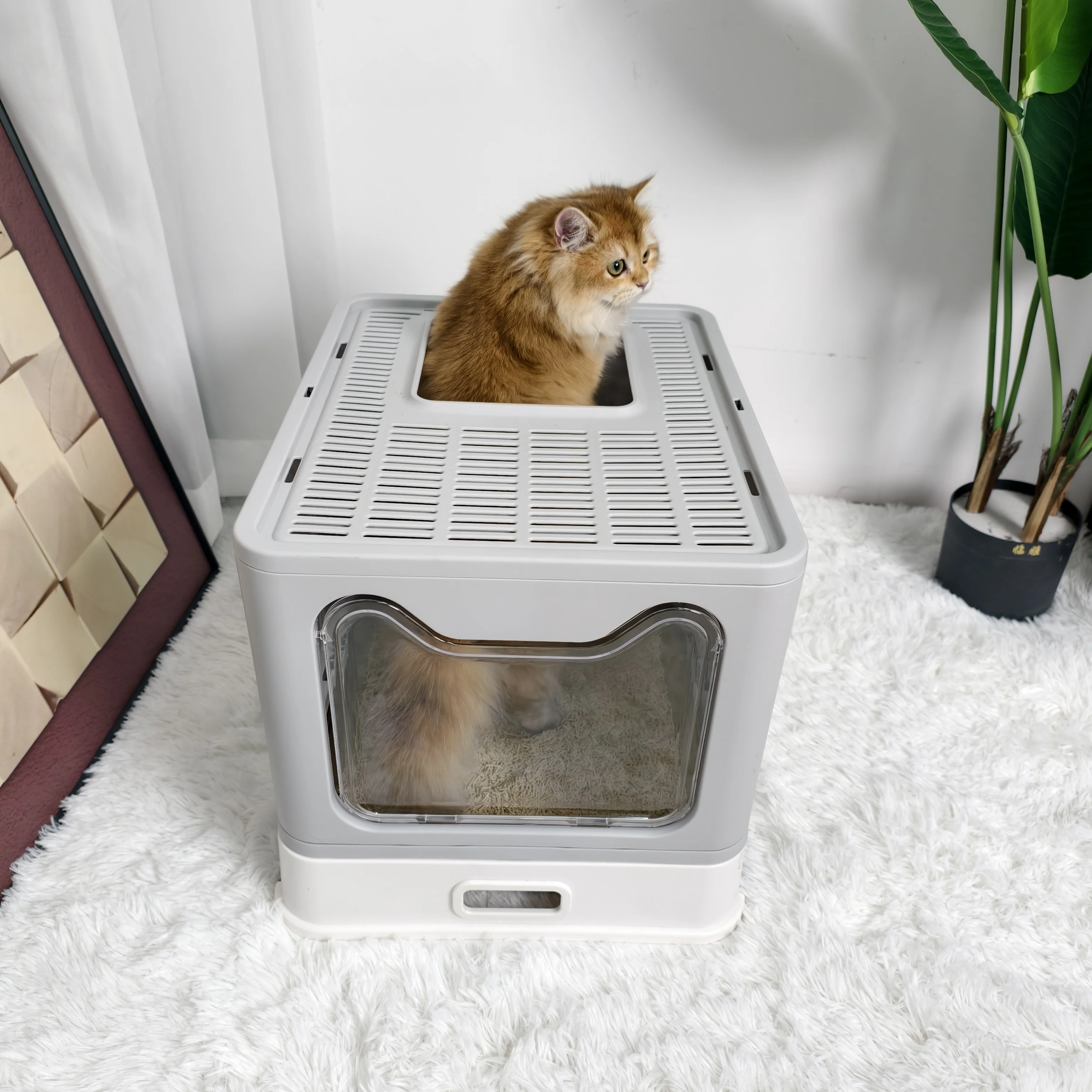Cat Litter Box Front Entry 4