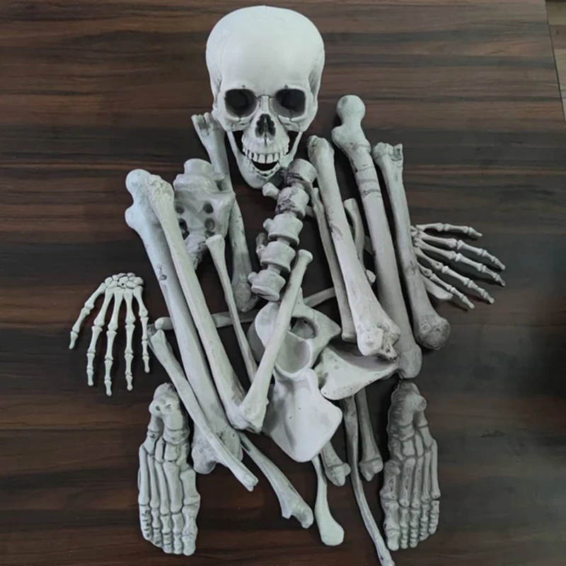 SKELETON ARM スケルトンアーム 海外玩具 Amazon.com: KUIDAMOS Scientific Human Arm Skeleton Model